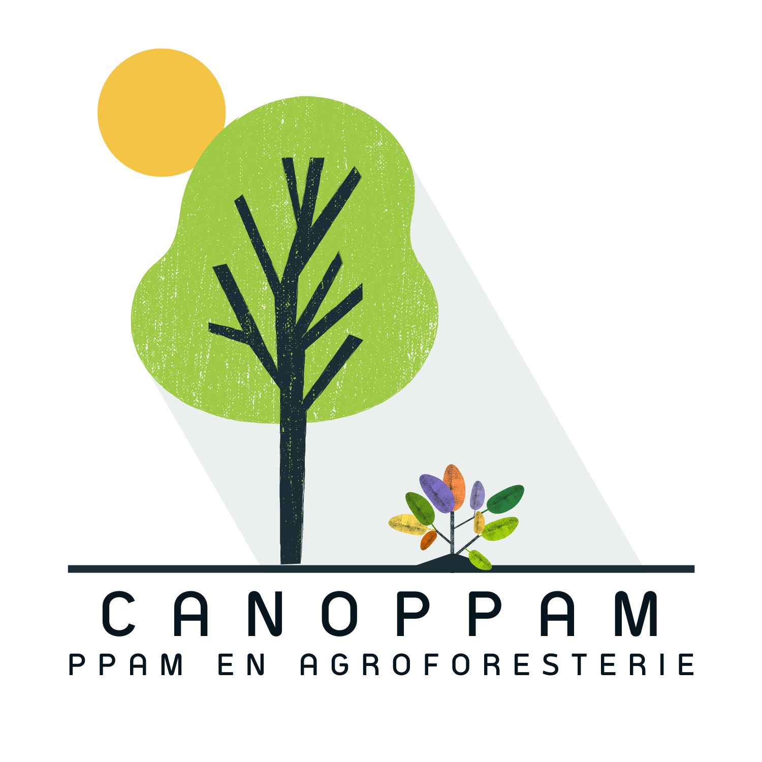 CANOPPAM 1500px