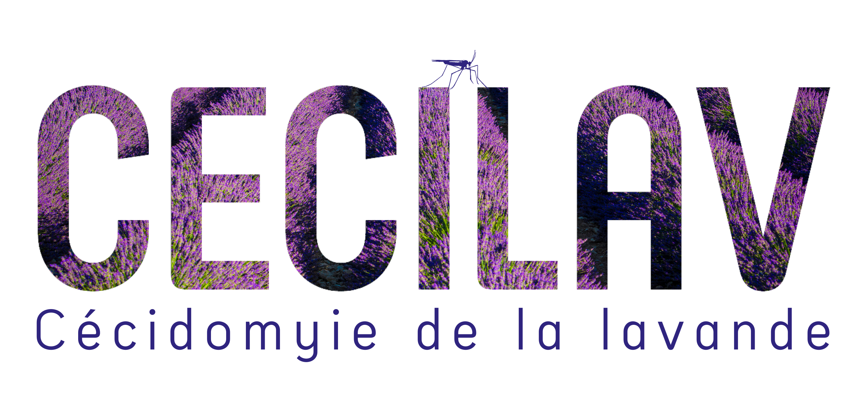 Logo cecilav blanc