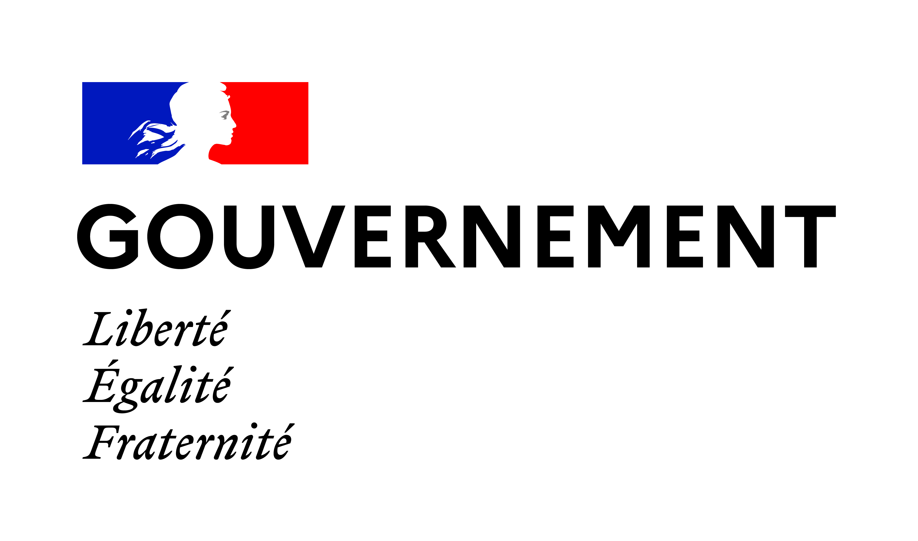 Gouvernement CMJN