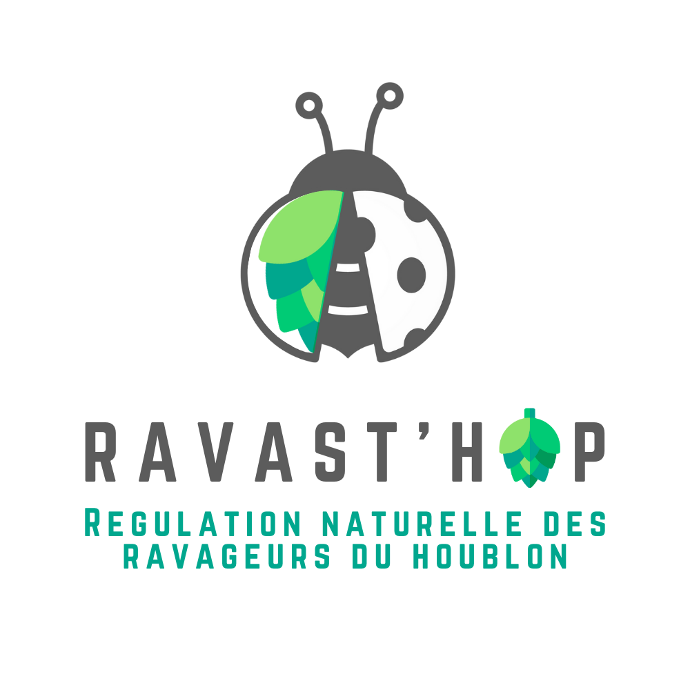 LOGO ravasthop